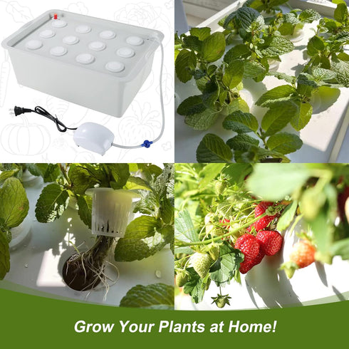 12 MAOPINER Indoor Hydroponic Grow Kit with Bubble Stone, Sites (Holes) Bucket, Air Pump, Sponges - Best Indoor Herb