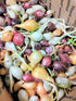 3 Sets (Bulbs) 1 (~100 Sets) 2026 TomorrowSeeds - Colors Mix Onion - Pound - Fresh Crop, Stored Cold, for Planting