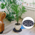 LFUTARI 6Pack 15" (40cm-6pcs, Large Plant Level Pot Elevator, Heavy Duty Plant Stands, Plant Pot Saucer for Prevent Rot