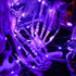 Brizled Purple Halloween Lights, 19.47ft 60 LED Battery Powered Twinkle/Steady On String Lights