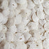 Tumbler Home Small Natural White Sand Dollars, 50 pcs - Wedding, Sea Shell Craft, 1 1/4" to 1 1/2"