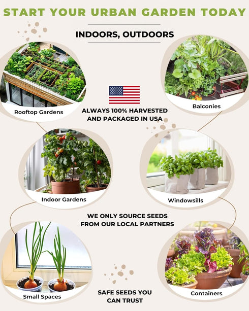15 Tactiko Survival Vegetable Seed Kit Varieties for Small Urban Garden, Balconies & Patios - Non-GMO, Heirloom