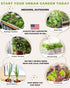 15 Tactiko Survival Vegetable Seed Kit Varieties for Small Urban Garden, Balconies & Patios - Non-GMO, Heirloom