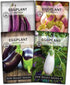 Sow Right Seeds - Eggplant Seed Collection for Planting - Black Beauty,