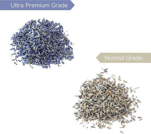 Dried Lavender Flower Buds for Crafts, Baking, Tea, DIY Projects, Sachets & Fresh Fragrance, 5 Ounces Bag