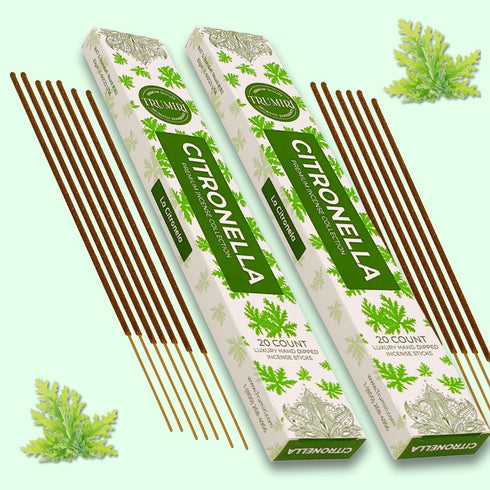 Citronella Incense Sticks for Outdoor Camping, Total 40 Sticks, Dual Pack of 20, Natural Non-Toxic Ingredients