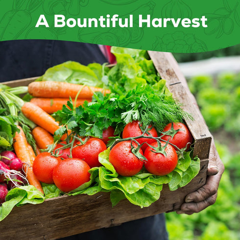 30 12,000+ Heirloom Vegetable Seeds for Planting, Garden Seeds - Non-GMO Vegetable, Herb, Fruit Seeds - Survival Seed