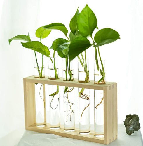 5 Kingbuy Wall Propagation Station with Test Tube Vases - Vintage Wood Stand Wall Hanging Planter for Plants, Tabletop