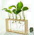 5 Kingbuy Wall Propagation Station with Test Tube Vases - Vintage Wood Stand Wall Hanging Planter for Plants, Tabletop