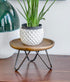 8.75 Red Co. Dia Round Decorative Wooden Pedestal Plant Stand with Metal Pin Legs, Natural Brown