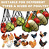 DMIMIA 4Pcs, Chicken Vegetable Fruit Hanging Feeder Reusable String Bag with Hook for Chicken Coop Toys, Poultry
