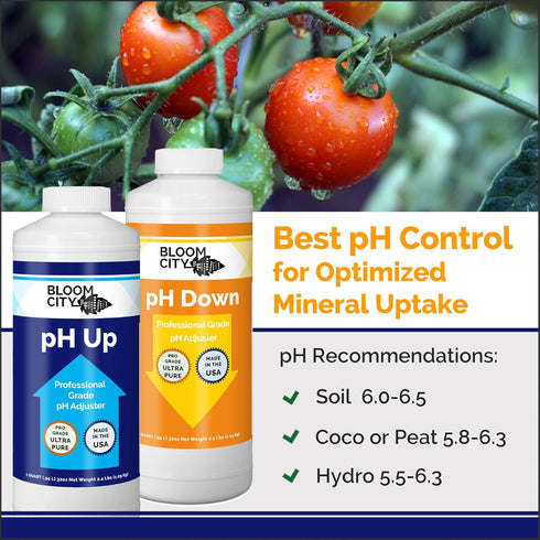 1 64 oz Bloom City Professional pH Up + Down Control Kit for Optimal Nutrient Uptake (Two Quart Bottles) Total