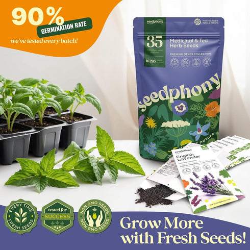 35 Pack 16,285+ Packets Seedphony Medicinal & Tea Herb Seeds Variety - Non-GMO Heirloom Herbs Seeds for Planting Indoor