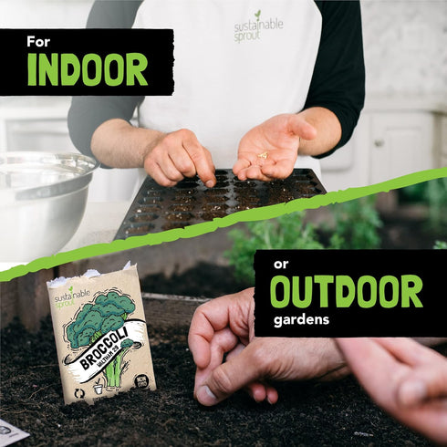 13 Vegetable Seeds for Planting: Heirloom Veggie Seeds for Planting Home Garden: Tomatoes Lettuce Beets Bell Pepper