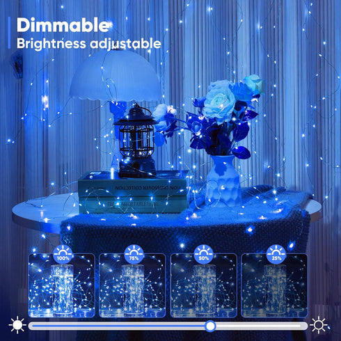 1 Pack 32.8 Ariceleo Ft. Battery Operated Outdoor String Lights with Remote & Timer, LED Blue Fairy Lights, Waterproof