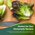 1000 Packaging Red Romaine Lettuce Seeds - Heirloom, Non-GMO, USA Grown, Premium Lettuce Seeds in Premium - by RDR