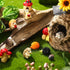 Woanger 30 Pcs Miniature Fairy Garden Accessories, Tiny Resin Hedgehog Mushroom Figurines for House Terrarium Decor