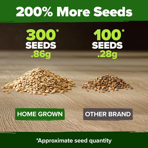 300+ Summer HOME GROWN Beefsteak Tomato Seeds Heirloom Non-GMO Seeds for Planting, High Germination, Indeterminate
