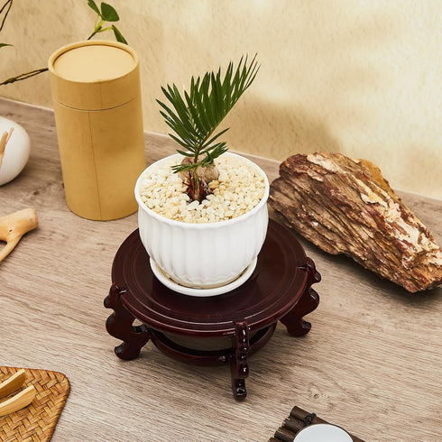 2 4 12 Decor(6 Inch) Geetery Pcs to in Wooden Plant Stands Indoor Chinese Oriental Plant Stand for Vase Fishbowl Flower