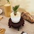 2 4 12 Decor(6 Inch) Geetery Pcs to in Wooden Plant Stands Indoor Chinese Oriental Plant Stand for Vase Fishbowl Flower