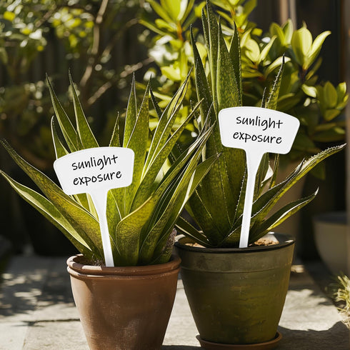 Yuanling Plant Labels, 60 Pack Large Plastic T-type Waterproof Garden Markers with Marker Pen