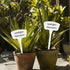 Yuanling Plant Labels, 60 Pack Large Plastic T-type Waterproof Garden Markers with Marker Pen