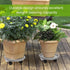 3 Pack 12 Inch Plant Caddy with Wheels, Heavy Duty Planter Pallet with Drainage Tray, Round Planter Pot Stand Dolly