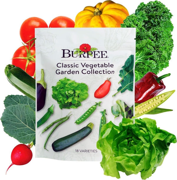 Burpee Heirloom Vegetable Seeds - 15,000+ Seeds - Beans, Beets, Cauliflower, Celery,