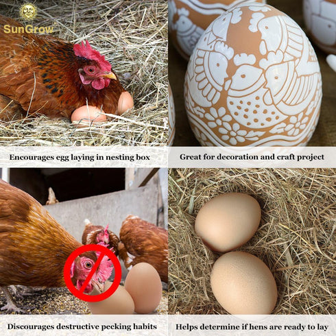 2 Pack SunGrow Fake Wooden Eggs to Train Birds from Laying in The Nesting Boxes & to Stop from Eating Own Eggs, Brown