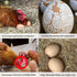 2 Pack SunGrow Fake Wooden Eggs to Train Birds from Laying in The Nesting Boxes & to Stop from Eating Own Eggs, Brown