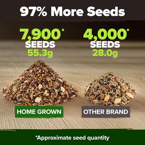 12 HOME GROWN Winter Vegetable Seeds Heirloom,Fall & Winter Vegetable Seeds for Planting Home Garden: Bean, Beet