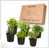 6 Pack Live Aromatic and Edible Herb Assortment (Rosemary, Eucalyptus, Mint, Lemon Balm, Other Assorted Herbs), Plants