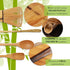 BambooMN Japanese Matcha Whisk Chasen - Traditional Handcurled 100 Tate Utensil - Natural Golden Brown - 1 Piece
