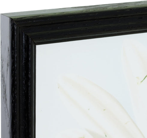Craig Frames 200ASHBK Picture/Poster Frame, 0.75-Inch Wide, Black, 18 by 24-Inch, Wood Grain Finish