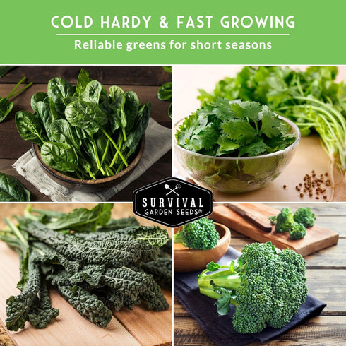 Cool Weather Garden Seeds Collection | Fall & Spring Planting Grow Broccoli, Kale, Lettuce, Spinach & Cilantro | Cold