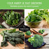 Cool Weather Garden Seeds Collection | Fall & Spring Planting Grow Broccoli, Kale, Lettuce, Spinach & Cilantro | Cold