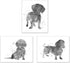 Summit Designs Dachshund Wall Art Set of 4 (8x10) Unframed Prints – Cute Dog-Themed Decor for Kids’ Rooms and Dog Lovers