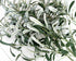 FiveSeasonStuff Lifelike Olive Branches - Premium 30-inch Faux Greenery with Realistic Leaves for Home and Events