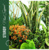 4 10" 15.8" LEOBRO Plant Support Stakes, PCS Plant Stakes, Plant Support, Peony Cages and Supports, Garden Stakes