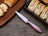 WELLSTAR Utility Knife, 4 Inch Serrated Paring Knife with Super Sharp Rainbow High Carbon Stainless Steel Blade