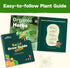 6 32 30,000+ Lush&Dew Year-Round USDA Zone Heirloom Survival Seed Kit, Varieties Non-GMO Seeds for Planting Vegetables