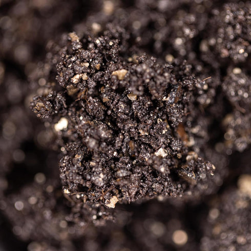 (5 lb) North Spore CVG CVG (Coco Vermiculite Gypsum) Sterile Bulk Substrate | Ideal for Beginner Growers | Made in USA