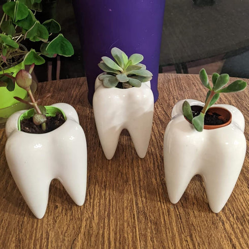 YOFIT Modern Style Teeth Pots Ceramic Flower Pot for Dental Gifts, White Succulent Cactus Planter, Set of 4