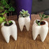 YOFIT Modern Style Teeth Pots Ceramic Flower Pot for Dental Gifts, White Succulent Cactus Planter, Set of 4