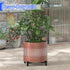 21" 30" 4 500 Lbs, Plant Caddy With Wheels, to Heavy Duty Rolling Plant Dolly, Metal Plant Stand With Lockable Caster
