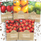 Organic Cherry Tomato Seeds Variety Pack - 5 Individual Packs - 2026