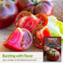 (1 Pack) Black Krim Tomato Seeds for Planting - Heirloom Non-GMO Variety, Dark Beefsteak Tomato with Rich Flavor