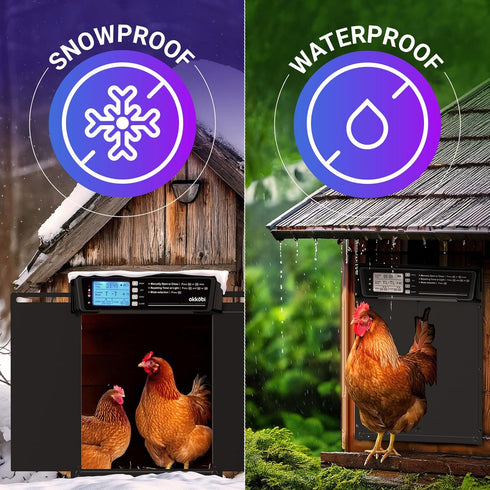 Anti-Pinch 11.3" 8.7" 5-Year Extra Large Automatic Chicken Coop Door Solar Powered with Remote - LCD Display, Light