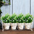 Artificial Plants Flowers Grass Shrubs, 8 Pack No Fade Faux Plastic for Indoor Outdoor Decoration