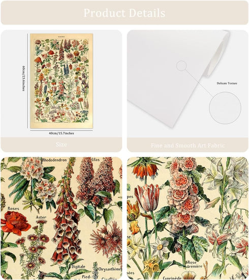 Meishe Art Vintage Poster Print - Flower Floral Botanical Collections Garden Flowers Identification Reference Chart
